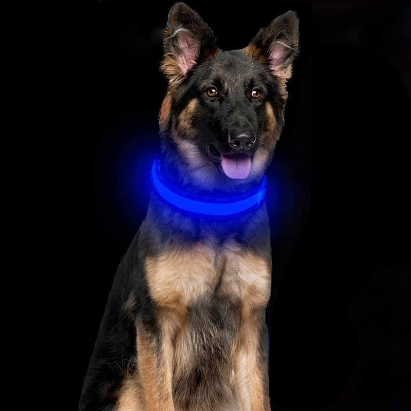 LED Dog Collar, USB Rechargeable Nylon Webbing Adjustable Glowing Pet Safety Collar, Reflective Light Up Collars for Your Dogs