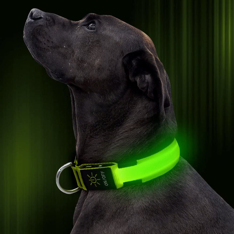 LED Dog Collar, USB Rechargeable Nylon Webbing Adjustable Glowing Pet Safety Collar, Reflective Light Up Collars for Your Dogs