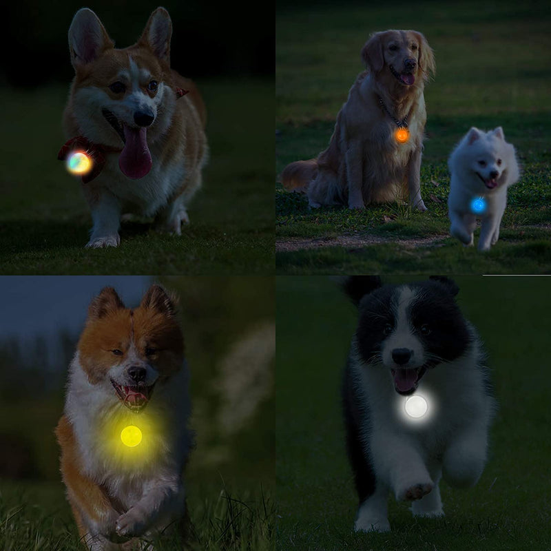 Clip-on Dog Cat Pet Safety LED Collars Lights with 3 Modes Dog Costume Toy Accessories Night Time Walking Camping Hiking